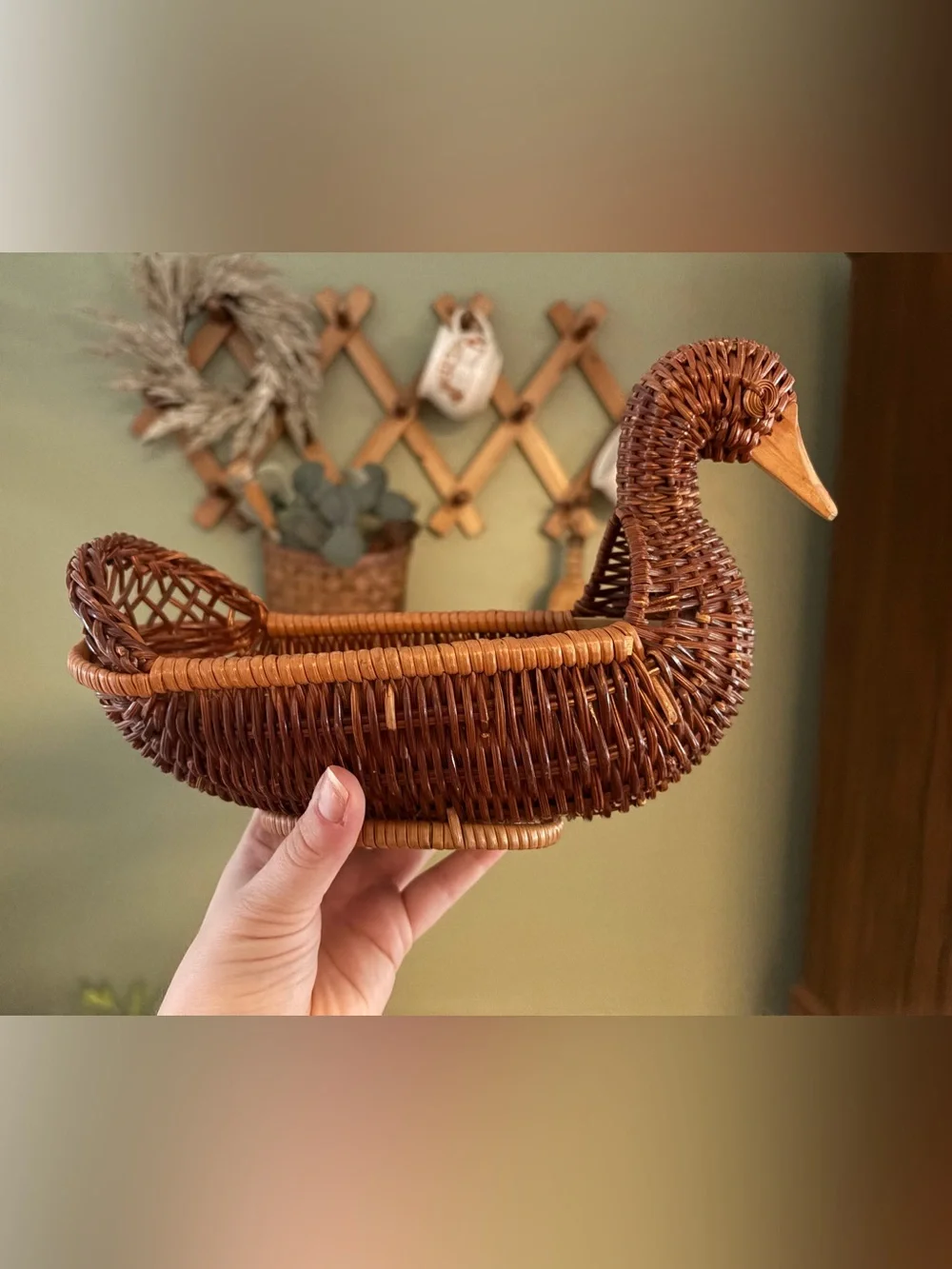 Woven Decorative Duck Basket - Brown